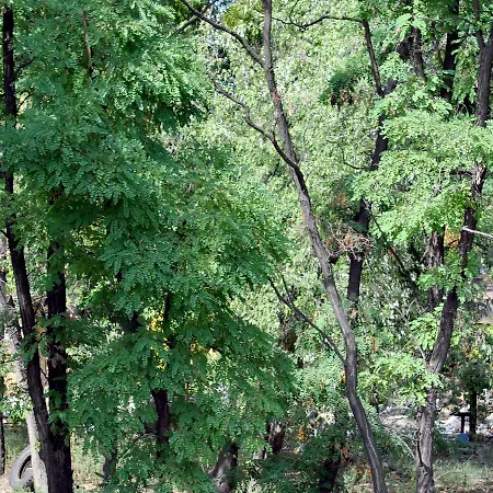 Darnitsa1 Hostel